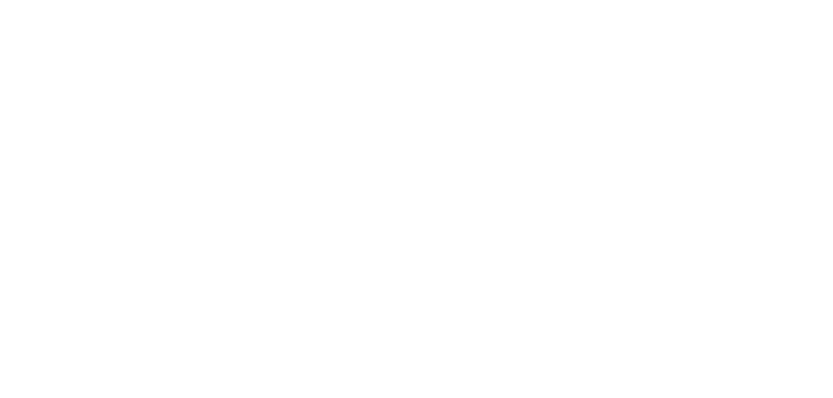Nayab logo